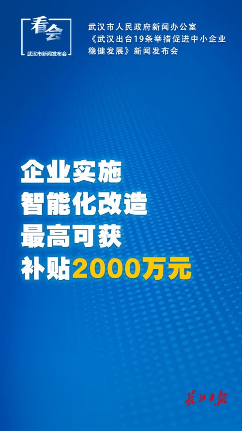 武漢出臺中小企業扶持新政 社保延長、稅費減免與技術推廣齊發力